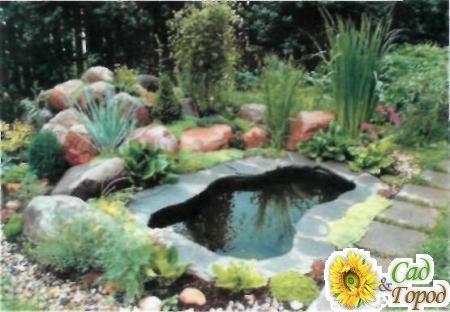 Мини-водоемы в вашем саду